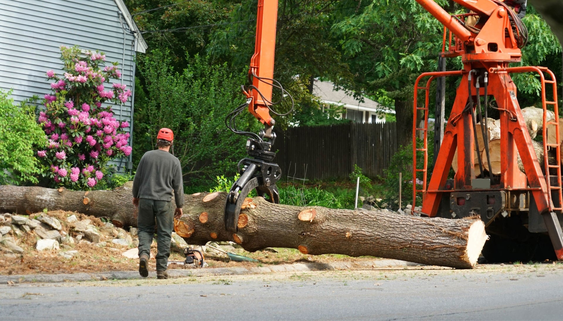 Local partner for Tree removal services in Grand Junction