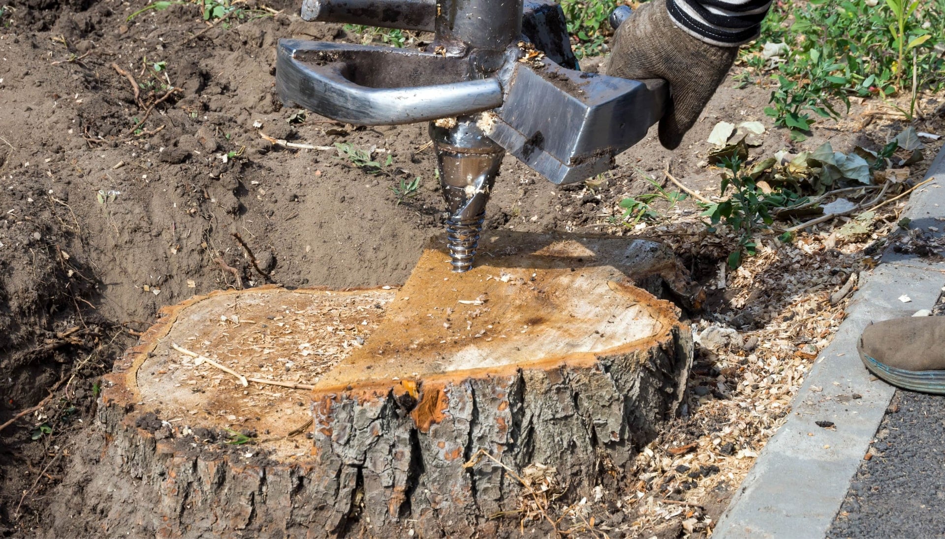 Grand Junction Tree stump removal